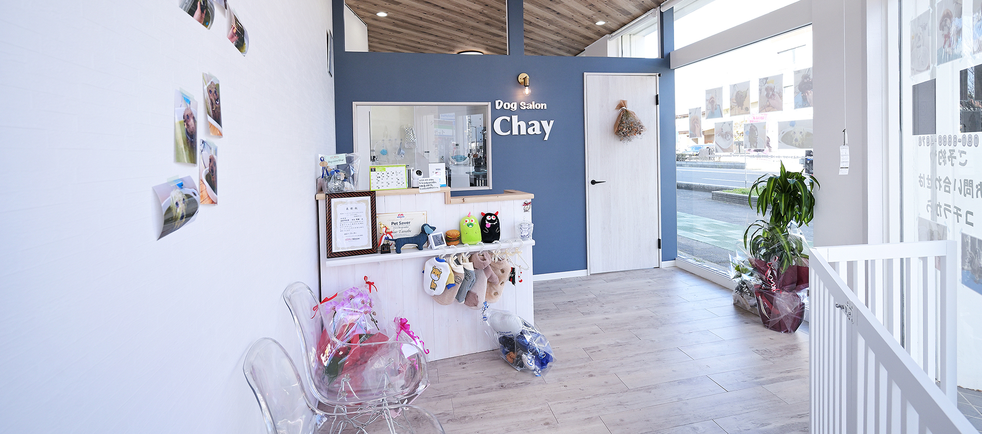 Dog Salon Chay