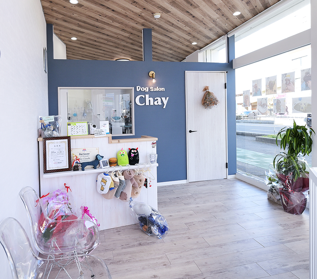 Dog Salon Chay